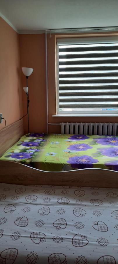 Day & Night Anyksciai Apartment Ngoại thất bức ảnh