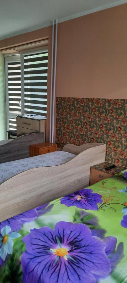 Day & Night Anyksciai Apartment Ngoại thất bức ảnh